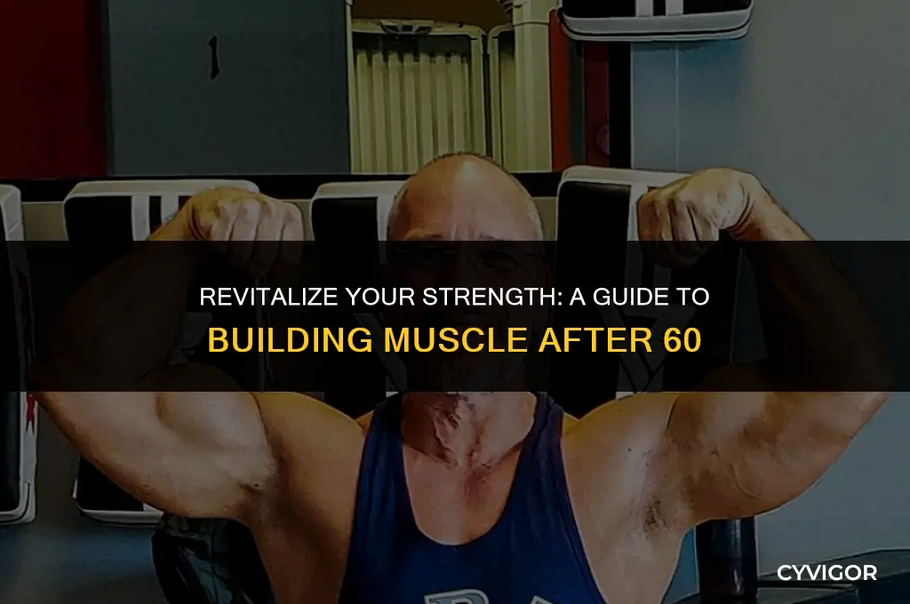 how to build muscle after 60 men