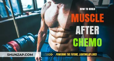 Rebuilding Strength: A Guide to Muscle Gain Post-Chemotherapy