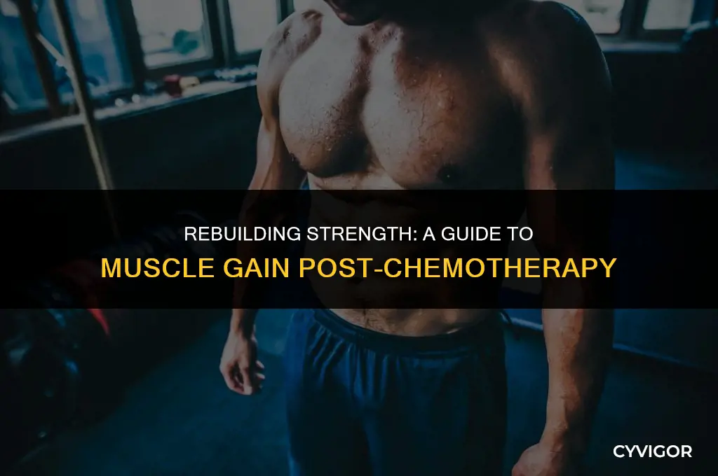 how to build muscle after chemo