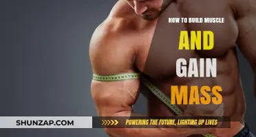 Effective Strategies for Building Muscle and Gaining Mass Fast