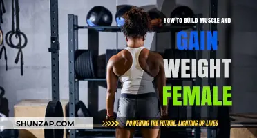 Effective Muscle Building and Weight Gain Strategies for Women