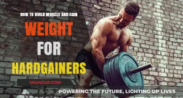Effective Muscle-Building Strategies for Hardgainers to Gain Weight Fast