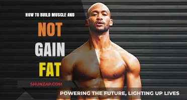 Lean Muscle Building: Strategies to Gain Mass Without Fat