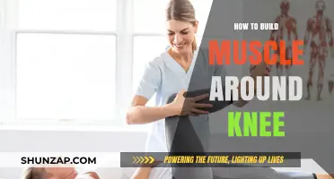 Strengthening Your Knees: A Guide to Building Muscle and Support