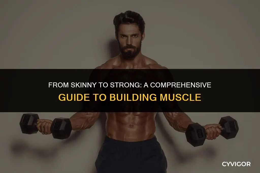 how to build muscle as a skinny guy