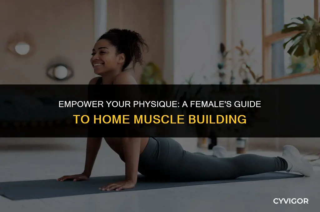 how to build muscle at home for females