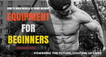 Bodyweight Basics: A Beginner's Guide to Building Muscle at Home