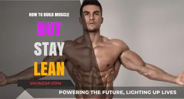 Lean Muscle Building: A Guide to Staying Shredded While Gaining Mass