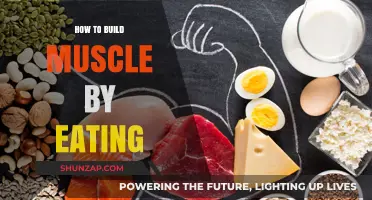 Fuel Your Gains: The Ultimate Guide to Building Muscle Through Nutrition