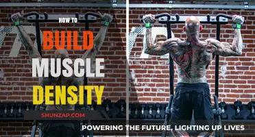 Sculpting Strength: A Guide to Building Muscle Density