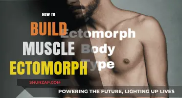 Ectomorph Muscle Building: A Comprehensive Guide to Gains