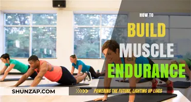 Unlocking Strength: A Guide to Building Muscle Endurance
