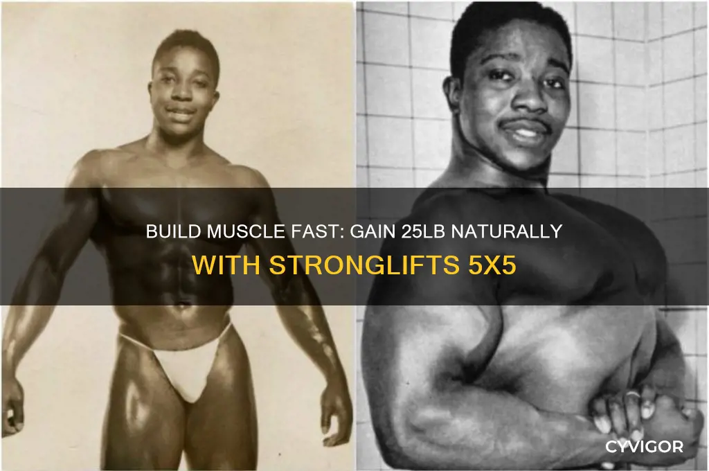 how to build muscle fast gain 25lb naturally stronglifts