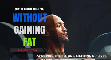 Effective Strategies for Rapid Muscle Gain Without Unwanted Fat Accumulation