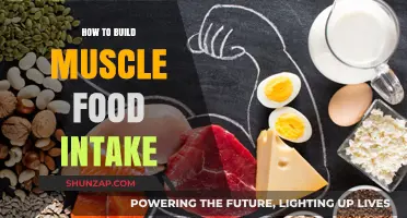 Fuel Your Gains: The Ultimate Guide to Muscle-Building Nutrition