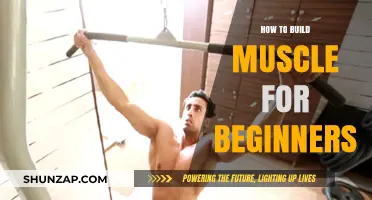 Strength Training 101: A Beginner's Guide to Building Muscle