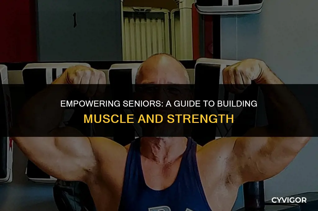 how to build muscle for seniors