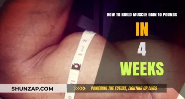 Rapid Muscle Gain: Strategies to Add 10 Pounds in 4 Weeks