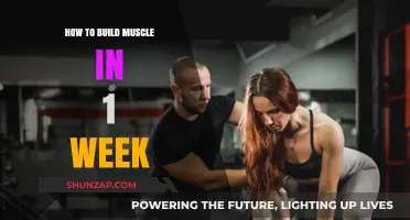Rapid Muscle Building: A 7-Day Guide to Visible Results