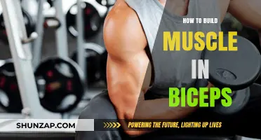 Sculpting Strong Biceps: A Comprehensive Guide to Muscle Building