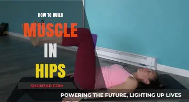 Sculpting Strong Hips: A Comprehensive Guide to Building Muscle