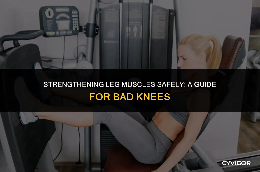 how to build muscle in legs with bad knees