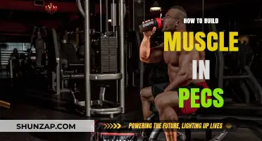 Sculpting Strong Pecs: A Comprehensive Guide to Building Muscle