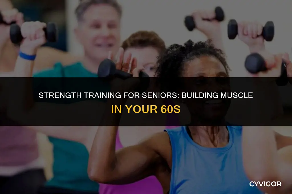 how to build muscle in your 60s