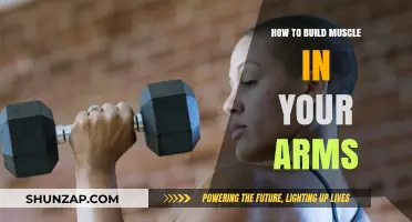 Sculpting Strong Arms: A Comprehensive Guide to Building Muscle