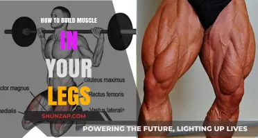 Strengthen Your Lower Body: A Guide to Building Powerful Leg Muscles