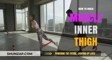 Strengthening Your Inner Thighs: A Comprehensive Guide to Building Muscle