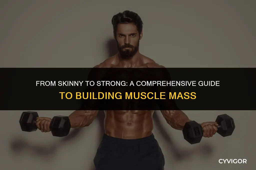 how to build muscle mass for skinny guys