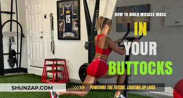 Sculpting Your Glutes: A Guide to Building Muscle Mass in Your Buttocks