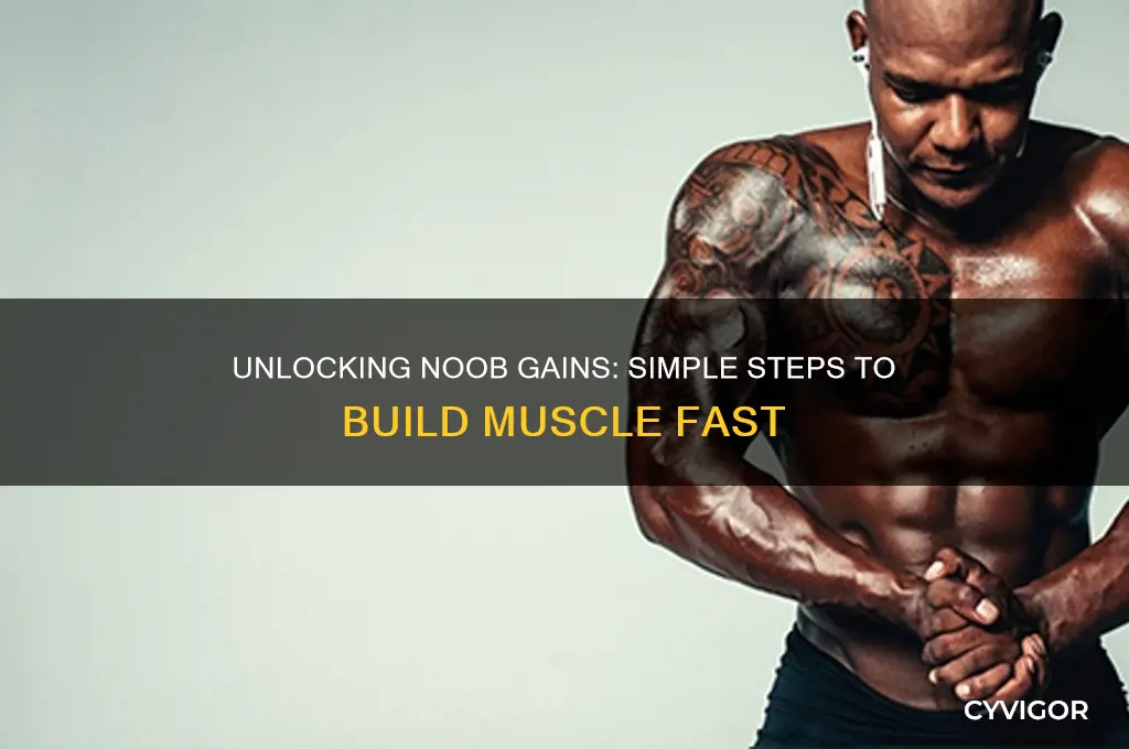 how to build muscle noob gains