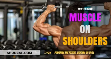 Sculpt Strong Shoulders: A Comprehensive Guide to Building Muscle