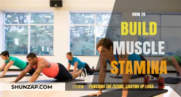 Unlocking Endurance: A Guide to Building Muscle Stamina