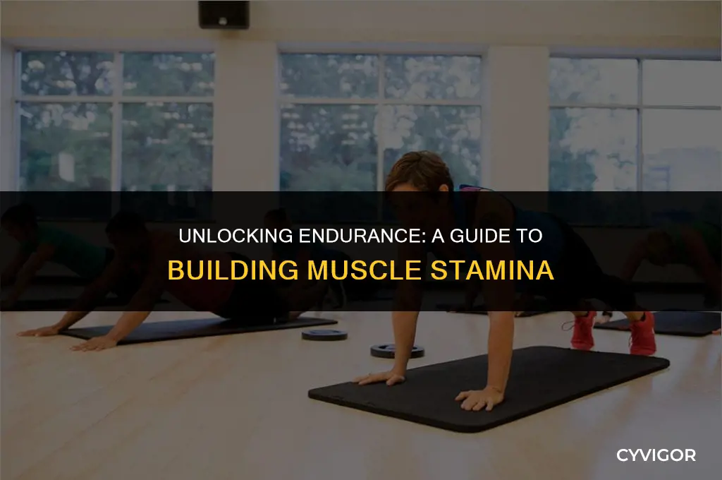 how to build muscle stamina