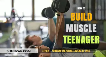Teen Muscle Building: A Comprehensive Guide for Young Fitness Enthusiasts