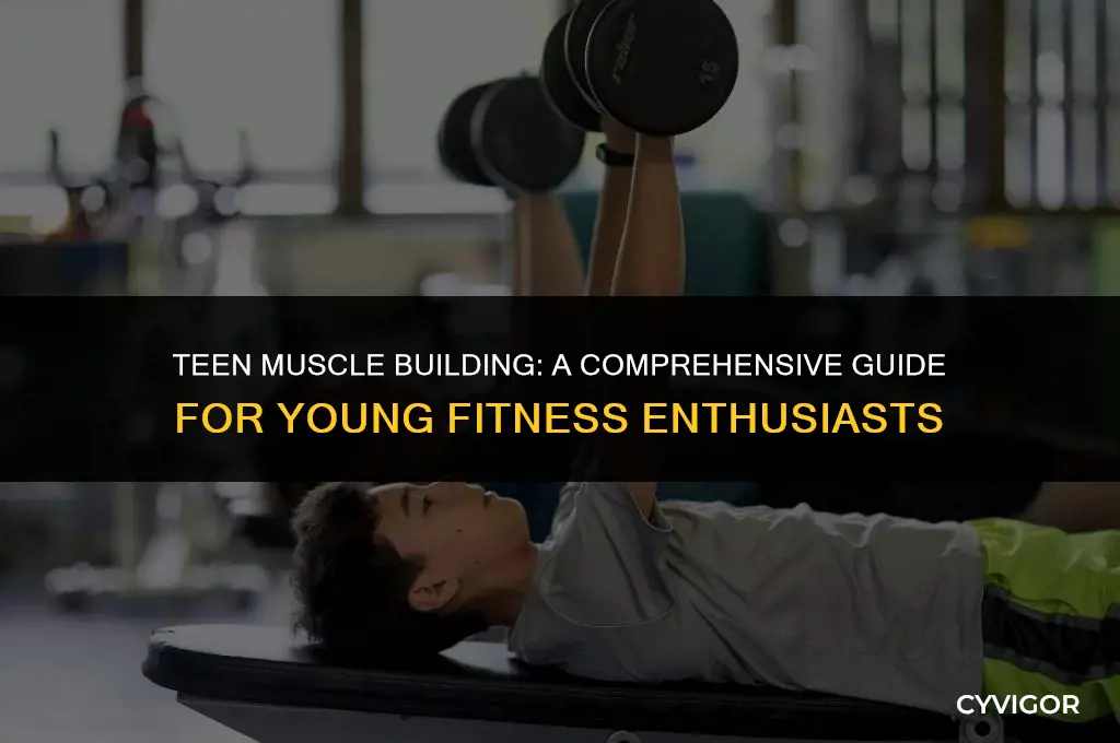 how to build muscle teenager