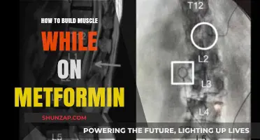 Metformin and Muscle Gain: A Comprehensive Guide