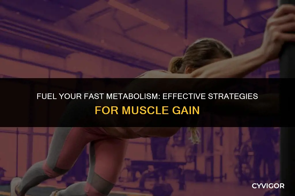 how to build muscle with a fast metabolism