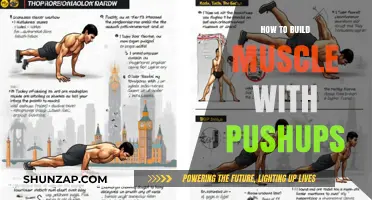 Push-Up Power: The Ultimate Guide to Building Muscle with Bodyweight Exercises