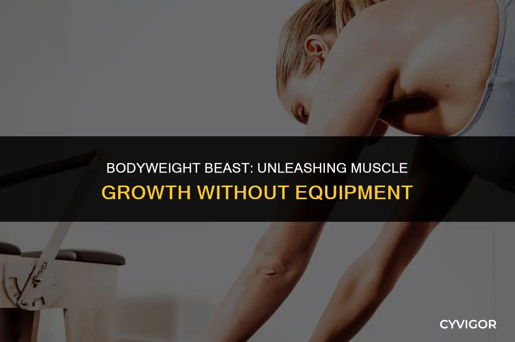 how to build muscle without equipment