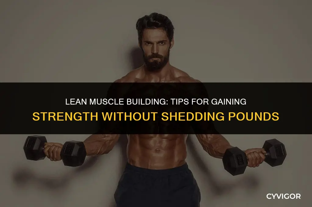 how to build muscle without losing weight