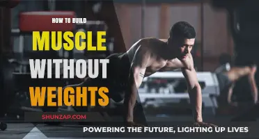 Bodyweight Bliss: Sculpting Strength Without the Weights