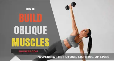 Sculpt Your Obliques: A Comprehensive Guide to Building Side Abs