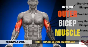 Sculpting Strong Outer Biceps: A Comprehensive Guide to Toned Arms