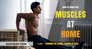Sculpt Your Pecs: Effective Home Workouts for Stronger Chest Muscles