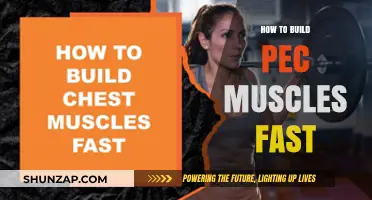 Sculpting Strength: A Guide to Rapidly Building Impressive Pec Muscles