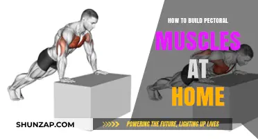 Home Workouts for Stronger, Sculpted Pectorals: A Comprehensive Guide
